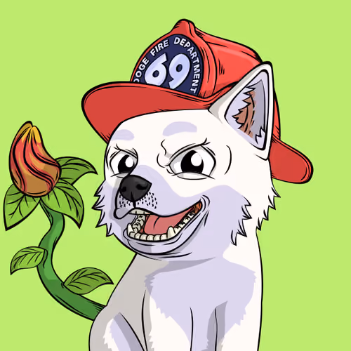 PUPPY #8508