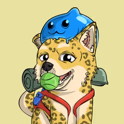 PUPPY #658
