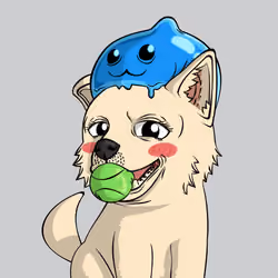 PUPPY #3133