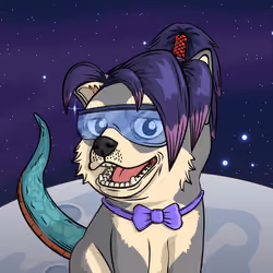 PUPPY #5950
