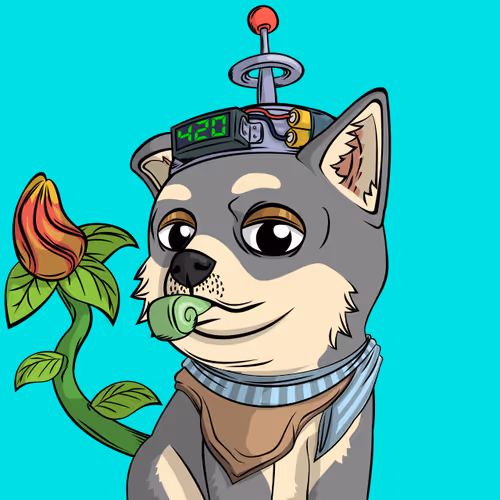 Doge Pound Puppies Real