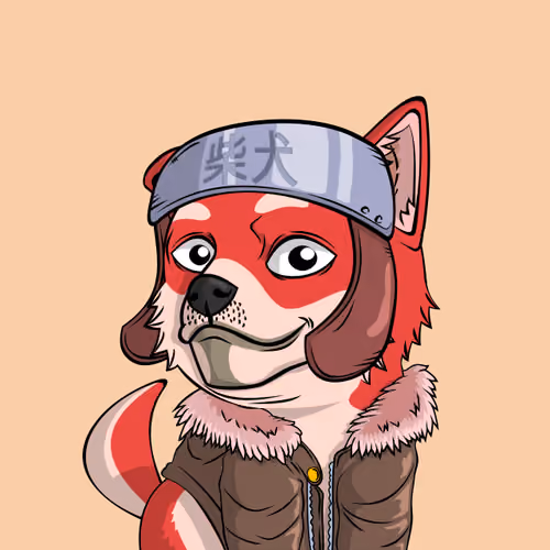 PUPPY #5888