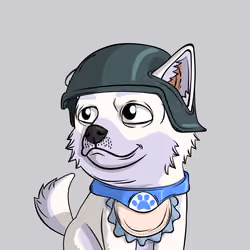 PUPPY #6327