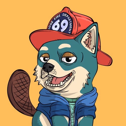 Doge Pound Puppies Real
