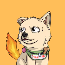 PUPPY #6620