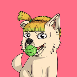 PUPPY #7561