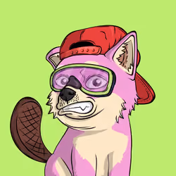 PUPPY #998
