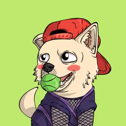 PUPPY #6897