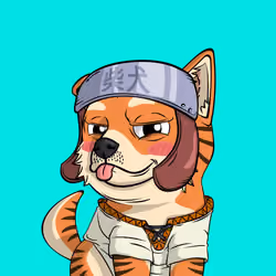 PUPPY #5896