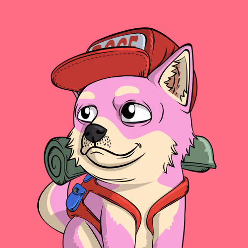 Doge Pound Puppies Real