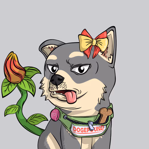 Doge Pound Puppies Real