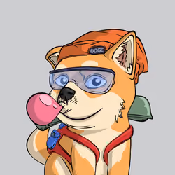 PUPPY #5222