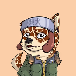 PUPPY #8120