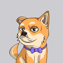 PUPPY #9949