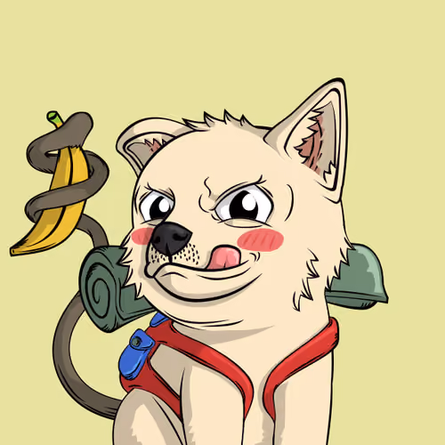 PUPPY #5237