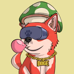 PUPPY #5256