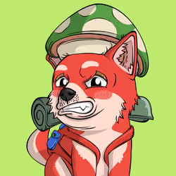 PUPPY #7895