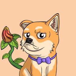 PUPPY #7866