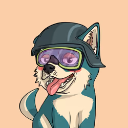 PUPPY #8883