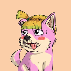 PUPPY #5255