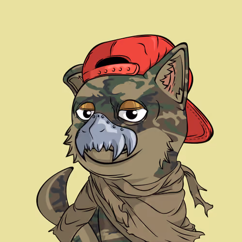 PUPPY #6732