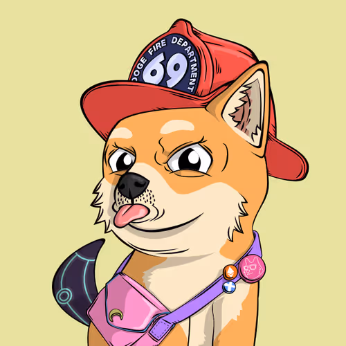 Doge Pound Puppies Real