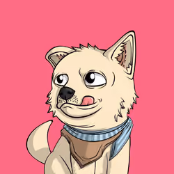 PUPPY #3145