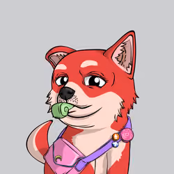 PUPPY #6641