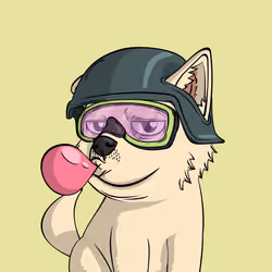 PUPPY #5557