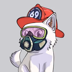 PUPPY #8296