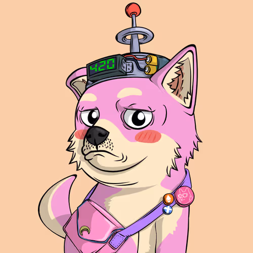 Doge Pound Puppies Real