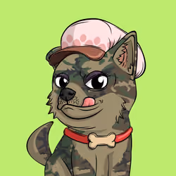 PUPPY #8980