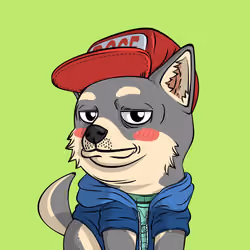 PUPPY #5648