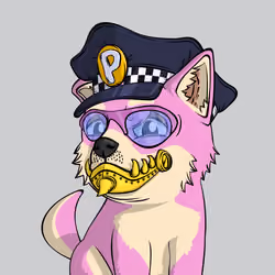 PUPPY #6384