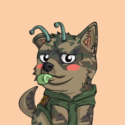 PUPPY #9886