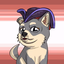 PUPPY #8377