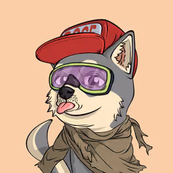 PUPPY #842