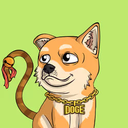PUPPY #5794