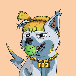 PUPPY #8498