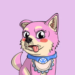 PUPPY #1118