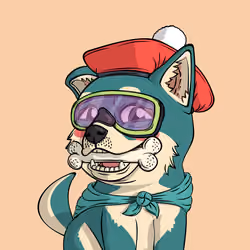 PUPPY #8922