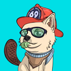 PUPPY #6016