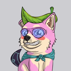 PUPPY #6150