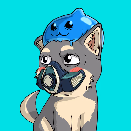 PUPPY #3491