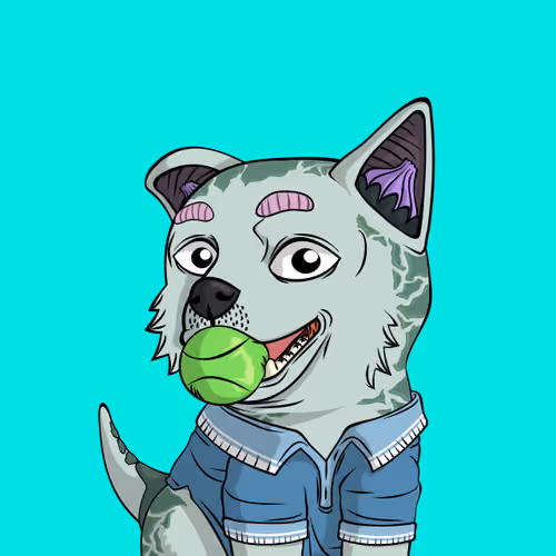 PUPPY #9236