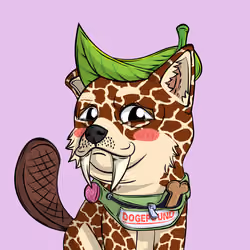 PUPPY #6713