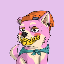 PUPPY #6363