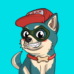 PUPPY #3998