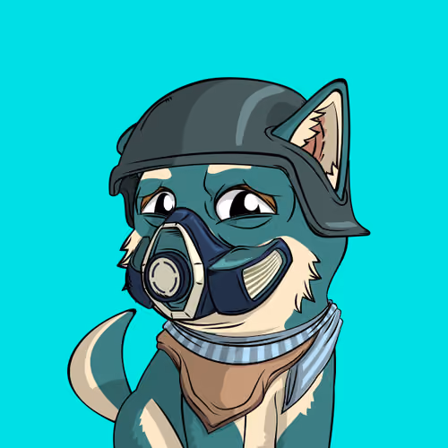 PUPPY #4072