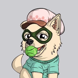 PUPPY #4713